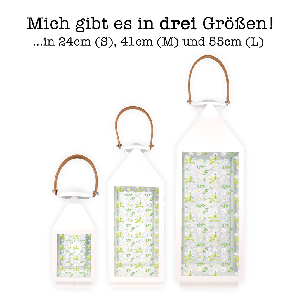 Deko Laterne Nasenbaer Gartenlampe, Gartenleuchte, Gartendekoration, Gartenlicht, Laterne  kleine Laternen, XXL Laternen, Laterne groß, Tiermotive, Gute Laune, lustige Sprüche, Tiere, Nasenbär, Nasenbären, Rüsselbär, Bär