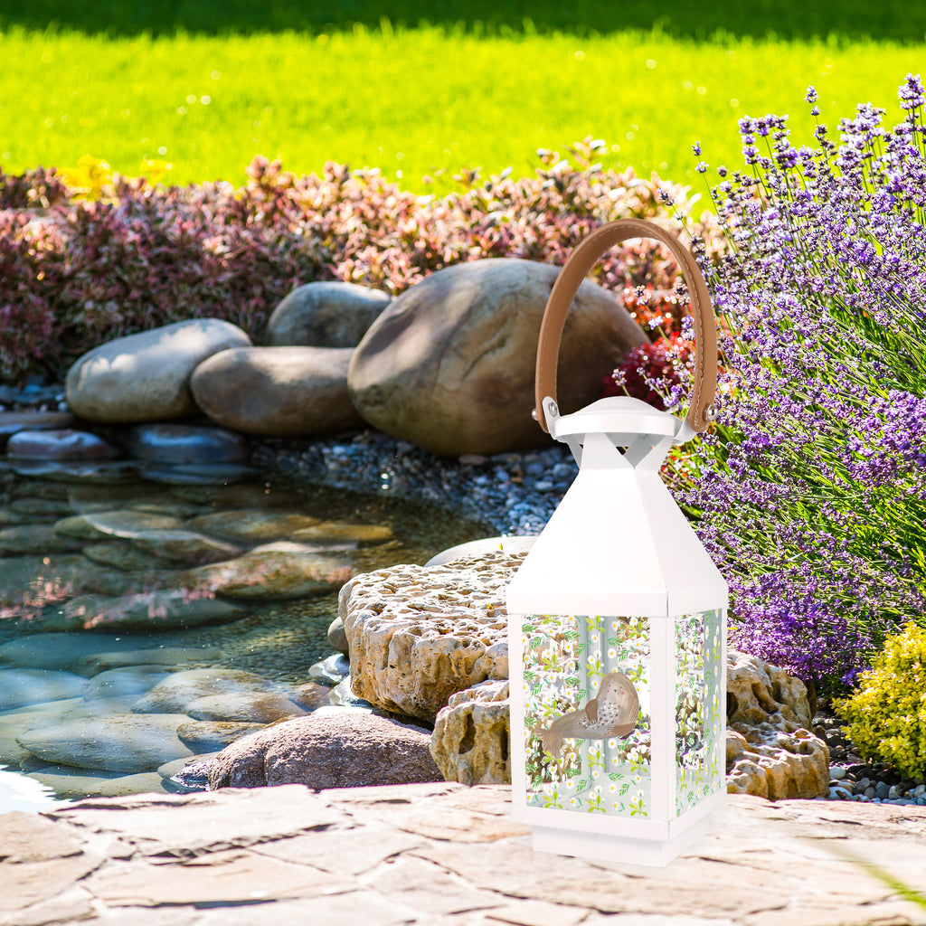 Deko Laterne Robbe lachend Gartenlampe, Gartenleuchte, Gartendekoration, Gartenlicht, Laterne  kleine Laternen, XXL Laternen, Laterne groß, Tiermotive, Gute Laune, lustige Sprüche, Tiere, Robbe, Robben, Seehund, Strand, Meerestier, Ostsee, Nordsee