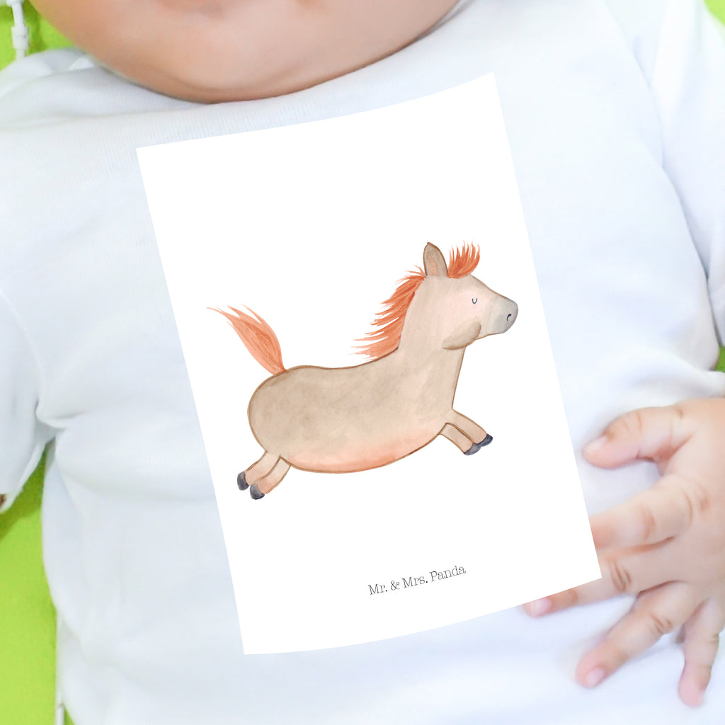 Organic Baby Shirt Pferd springt Baby T-Shirt, Jungen Baby T-Shirt, Mädchen Baby T-Shirt, Shirt, Bauernhof, Hoftiere, Landwirt, Landwirtin, Pferd, Pony, Pferde, Stall, Pferdestall, ausreiten, reiten, Pferdebesitzer