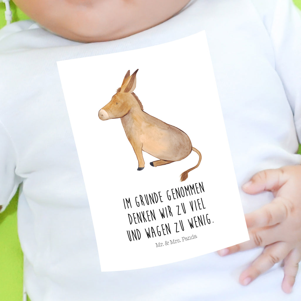 Organic Baby Shirt Esel Baby T-Shirt, Jungen Baby T-Shirt, Mädchen Baby T-Shirt, Shirt, Tiermotive, Gute Laune, lustige Sprüche, Tiere, Esel, Weisheit, Lebensmut, Lebensglück, Ziel, Lebensziel, Mut, erfolg, tapferkeit, positive gedanken, zuversicht