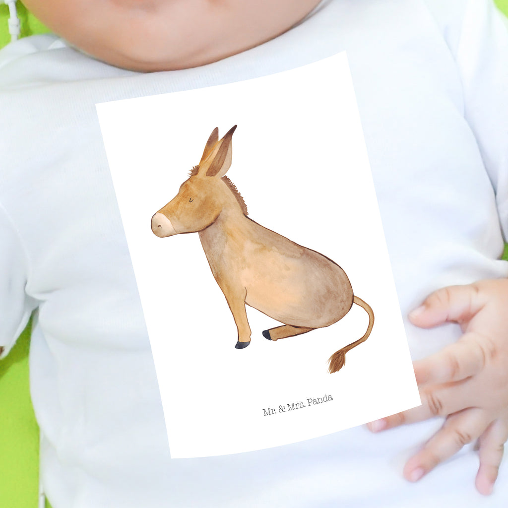 Organic Baby Shirt Esel Baby T-Shirt, Jungen Baby T-Shirt, Mädchen Baby T-Shirt, Shirt, Tiermotive, Gute Laune, lustige Sprüche, Tiere, Esel, Weisheit, Lebensmut, Lebensglück, Ziel, Lebensziel, Mut, erfolg, tapferkeit, positive gedanken, zuversicht