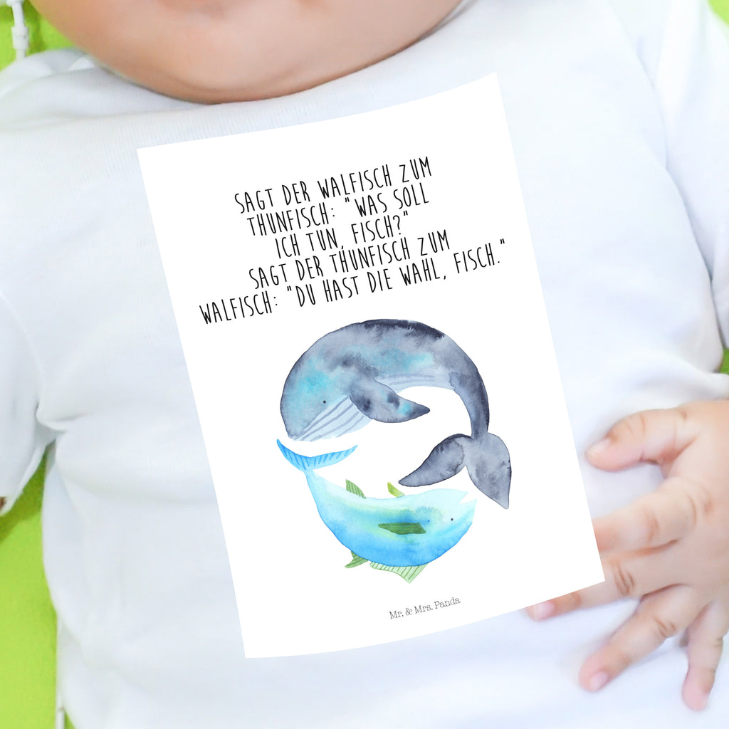 Organic Baby Shirt Walfisch & Thunfisch Baby T-Shirt, Jungen Baby T-Shirt, Mädchen Baby T-Shirt, Shirt, Tiermotive, Gute Laune, lustige Sprüche, Tiere, Wal, Wahl, Tunfisch, Wortwitz lustig, Spruch lustig, Flachwitz, Witz, Spruch des Tages, Flachwitz Geschenk