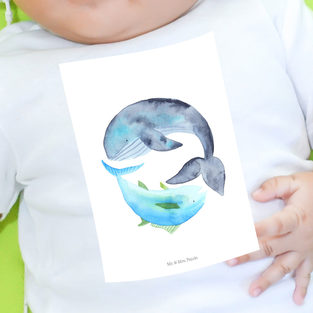 Organic Baby Shirt Walfisch & Thunfisch Baby T-Shirt, Jungen Baby T-Shirt, Mädchen Baby T-Shirt, Shirt, Tiermotive, Gute Laune, lustige Sprüche, Tiere, Wal, Wahl, Tunfisch, Wortwitz lustig, Spruch lustig, Flachwitz, Witz, Spruch des Tages, Flachwitz Geschenk