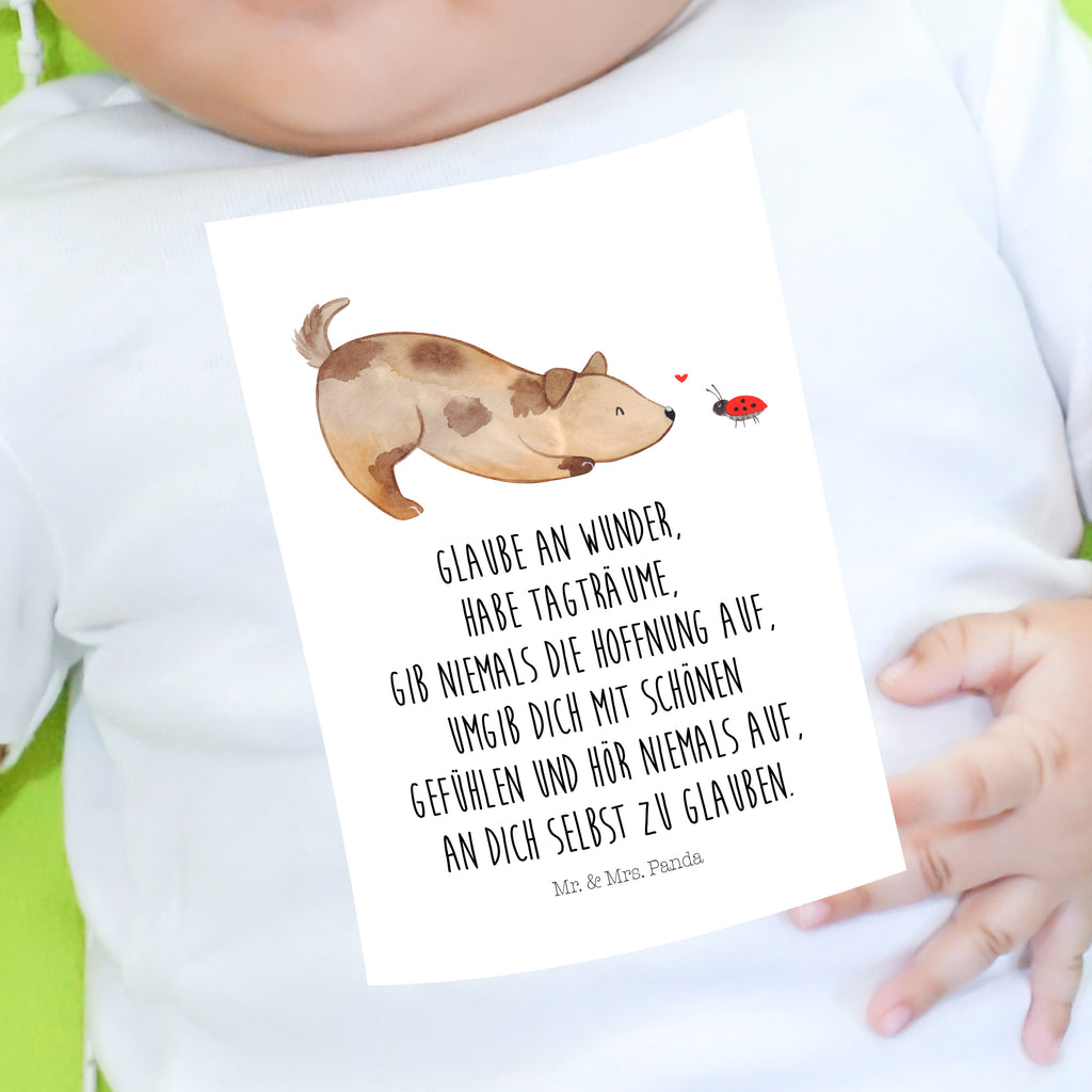 Organic Baby Shirt Hund Marienkäfer Baby T-Shirt, Jungen Baby T-Shirt, Mädchen Baby T-Shirt, Shirt, Hund, Hundemotiv, Haustier, Hunderasse, Tierliebhaber, Hundebesitzer, Sprüche, Hunde, Hundespruch, Marienkäfer, Mischling, Mischlinghund