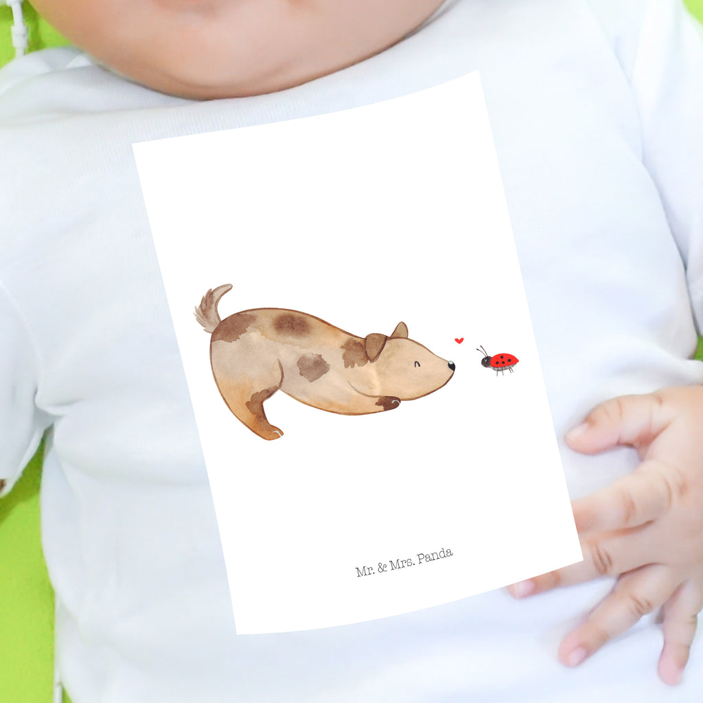 Organic Baby Shirt Hund Marienkäfer Baby T-Shirt, Jungen Baby T-Shirt, Mädchen Baby T-Shirt, Shirt, Hund, Hundemotiv, Haustier, Hunderasse, Tierliebhaber, Hundebesitzer, Sprüche, Hunde, Hundespruch, Marienkäfer, Mischling, Mischlinghund