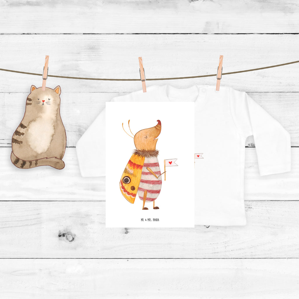 18-24 Monate Baby Longsleeve Nachtfalter mit Fähnchen Mädchen, Jungen, Baby, Langarm, Bio, Kleidung, Longsleeve, Tiermotive, Gute Laune, lustige Sprüche, Tiere, Nachtfalter, Käfer, Spruch lustig, Spruch witzig, süß, niedlich, Küche Deko, Was kostet die Welt