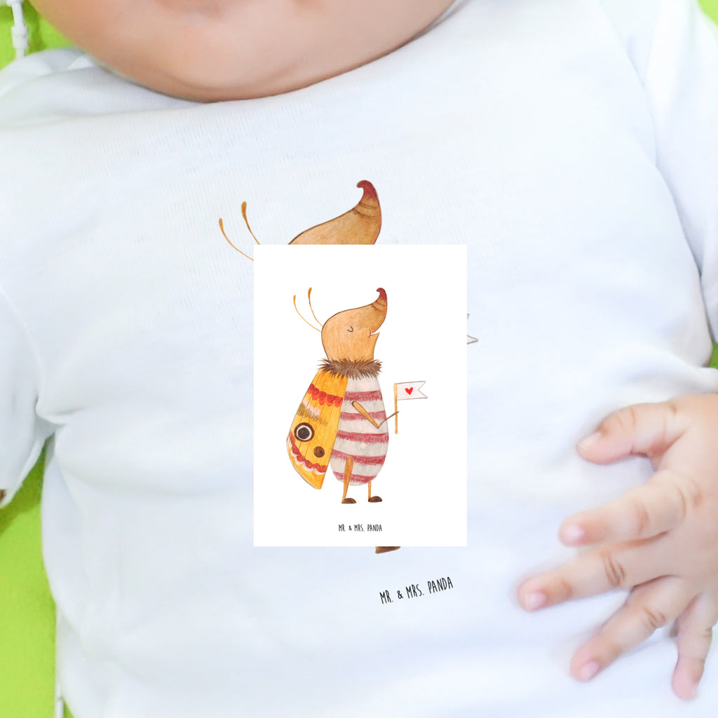 18-24 Monate Baby Longsleeve Nachtfalter mit Fähnchen Mädchen, Jungen, Baby, Langarm, Bio, Kleidung, Longsleeve, Tiermotive, Gute Laune, lustige Sprüche, Tiere, Nachtfalter, Käfer, Spruch lustig, Spruch witzig, süß, niedlich, Küche Deko, Was kostet die Welt