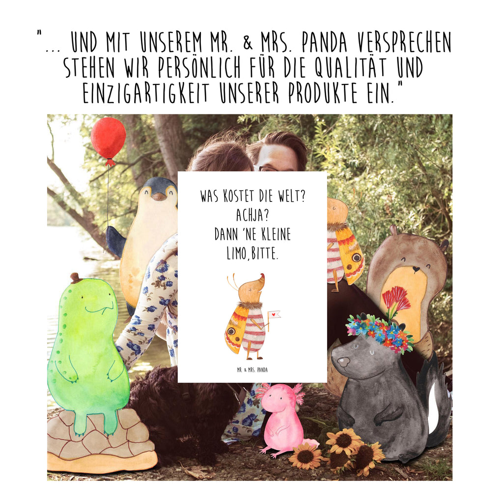 18-24 Monate Baby Longsleeve Nachtfalter mit Fähnchen Mädchen, Jungen, Baby, Langarm, Bio, Kleidung, Longsleeve, Tiermotive, Gute Laune, lustige Sprüche, Tiere, Nachtfalter, Käfer, Spruch lustig, Spruch witzig, süß, niedlich, Küche Deko, Was kostet die Welt