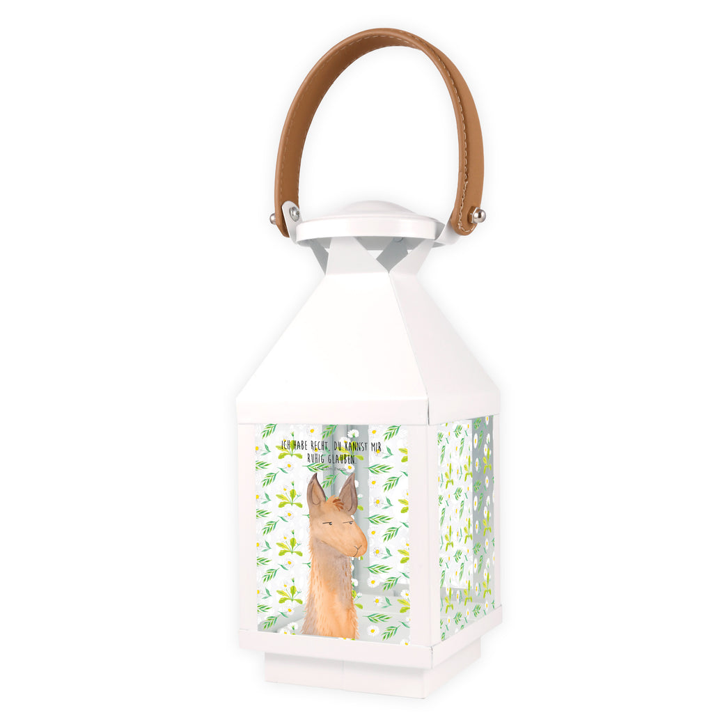 Deko Laterne Lamakopf genervt Gartenlampe, Gartenleuchte, Gartendekoration, Gartenlicht, Laterne  kleine Laternen, XXL Laternen, Laterne groß, Lama, Alpaka, Lamas, Recht haben, genervt sein, Freundin, beste Freundin, Partnerin, Büro, Büroalltag, Chef, Chefin, Azubi