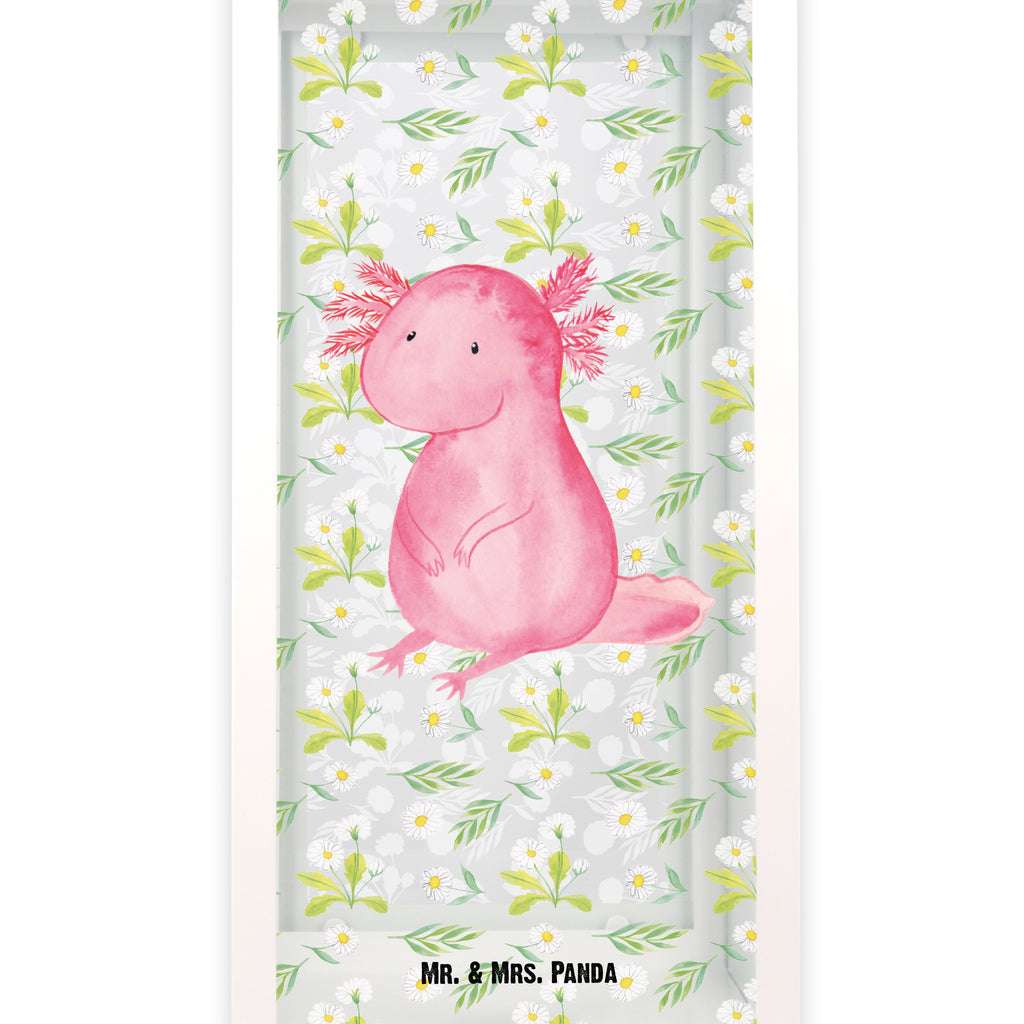 Deko Laterne Axolotl Gartenlampe, Gartenleuchte, Gartendekoration, Gartenlicht, Laterne  kleine Laternen, XXL Laternen, Laterne groß, Axolotl, Molch, Axolot, vergnügt, fröhlich, zufrieden, Lebensstil, Weisheit, Lebensweisheit, Liebe, Freundin