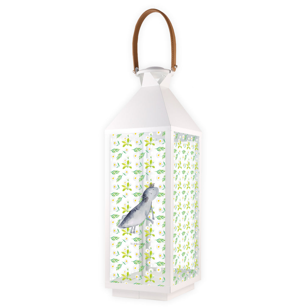 Deko Laterne Axolotl schwimmt Gartenlampe, Gartenleuchte, Gartendekoration, Gartenlicht, Laterne  kleine Laternen, XXL Laternen, Laterne groß, Axolotl, Molch, Axolot, Schwanzlurch, Lurch, Lurche, Problem, Probleme, Lösungen, Motivation