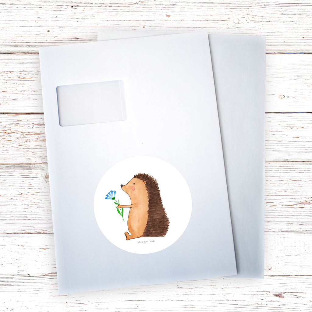 120mm Rund Aufkleber Igel mit Blume Sticker, Aufkleber, Etikett, Kinder, rund, süße Tiermotive, gute Laune, lustige Sprüche, Tiere, Igel, Gute Besserung, Genesungswünsche, Krankheit, Krankenhaus, krank, Besuch