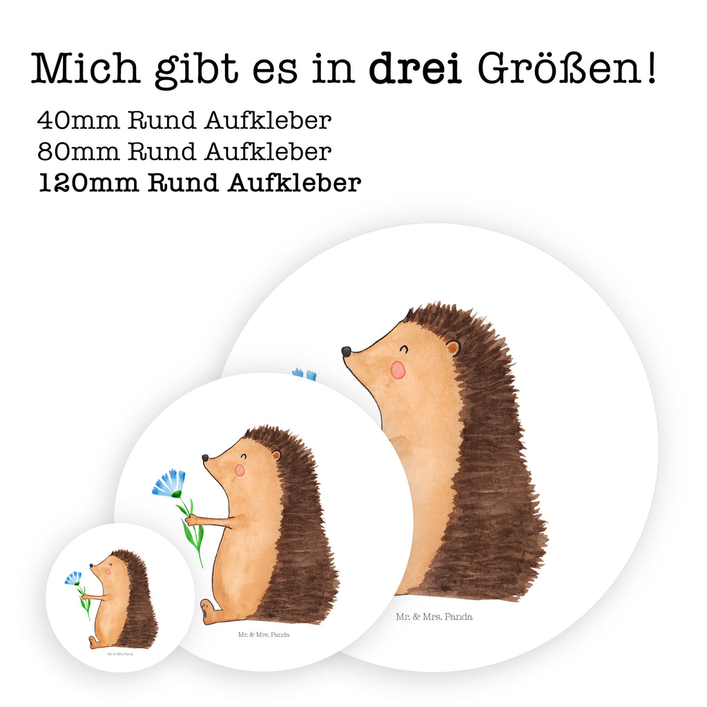 120mm Rund Aufkleber Igel mit Blume Sticker, Aufkleber, Etikett, Kinder, rund, süße Tiermotive, gute Laune, lustige Sprüche, Tiere, Igel, Gute Besserung, Genesungswünsche, Krankheit, Krankenhaus, krank, Besuch