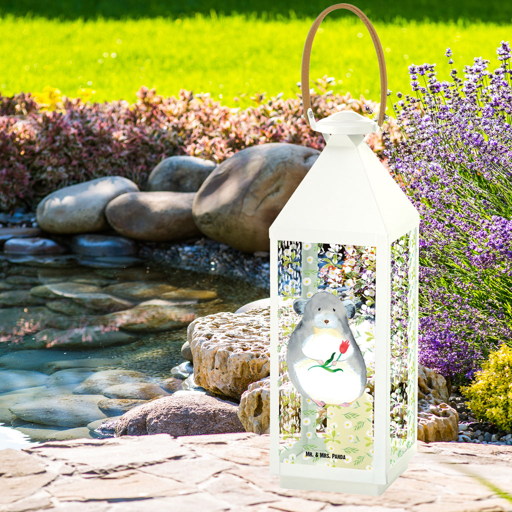 Deko Laterne Chinchilla mit Blume Gartenlampe, Gartenleuchte, Gartendekoration, Gartenlicht, Laterne  kleine Laternen, XXL Laternen, Laterne groß, Tiermotive, Gute Laune, lustige Sprüche, Tiere, Chinchilla, Chinchillas, Liebeskummer, Kummer, Depressionen, traurig sein, Chaos, Glücklichsein, Büro, Büroalltag