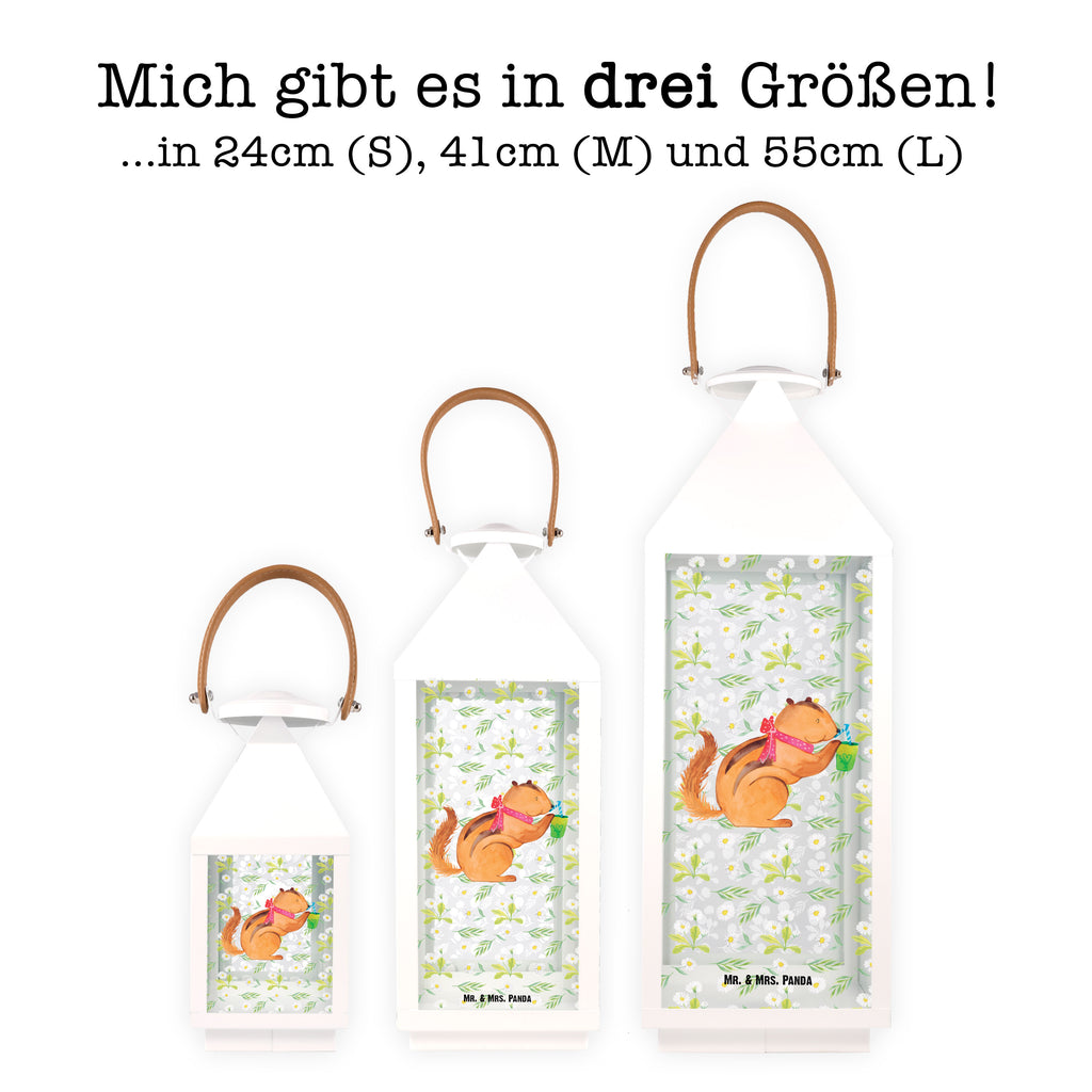 Deko Laterne Eichhörnchen Smoothie Gartenlampe, Gartenleuchte, Gartendekoration, Gartenlicht, Laterne  kleine Laternen, XXL Laternen, Laterne groß, Tiermotive, Gute Laune, lustige Sprüche, Tiere, Green Smoothies, Diät, Abnehmen, Streifenhörnchen, Eichhörnchen