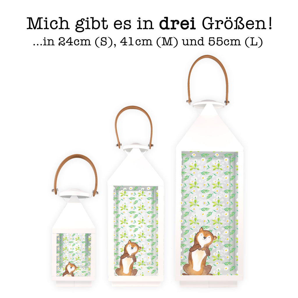 Deko Laterne Hund Bauchkraulen Gartenlampe, Gartenleuchte, Gartendekoration, Gartenlicht, Laterne  kleine Laternen, XXL Laternen, Laterne groß, Hund, Hundemotiv, Haustier, Hunderasse, Tierliebhaber, Hundebesitzer, Sprüche, Hunde, Hundeliebe, Hundewelpe, Bauchkraulen