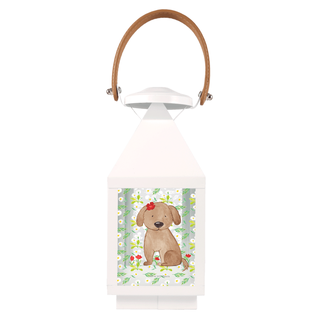 Deko Laterne Hund Hundedame Gartenlampe, Gartenleuchte, Gartendekoration, Gartenlicht, Laterne  kleine Laternen, XXL Laternen, Laterne groß, Hund, Hundemotiv, Haustier, Hunderasse, Tierliebhaber, Hundebesitzer, Sprüche, Hunde, Hundeliebe, Hundeglück, Liebe, Frauchen