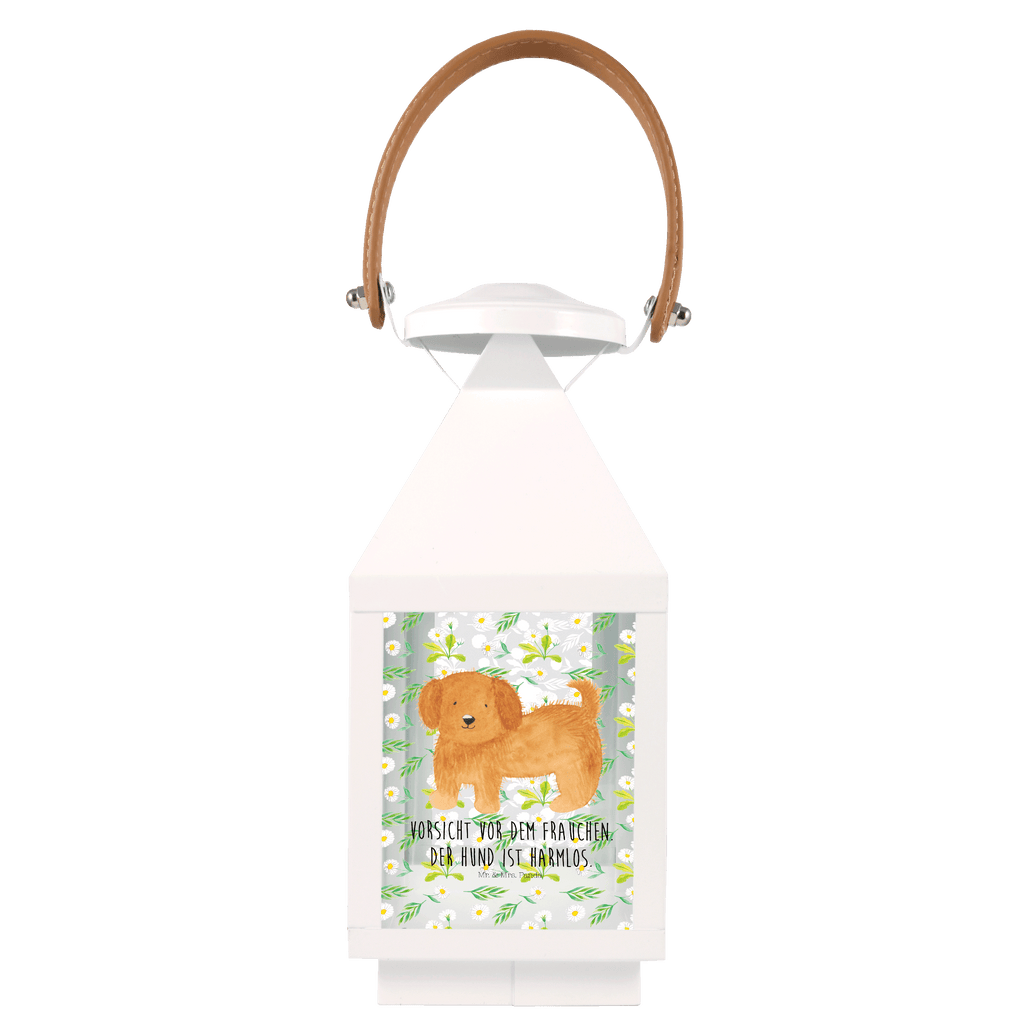 Deko Laterne Hund flauschig Hund, Hunde, Frauchen, Hundemama, Hundebesitzer, Hundeliebe Gartenlampe, Gartenleuchte, Gartendekoration, Gartenlicht, Laterne  kleine Laternen, XXL Laternen, Laterne groß,   Hund, Hundemotiv, Haustier, Hunderasse, Tierliebhaber, Hundebesitzer, Sprüche