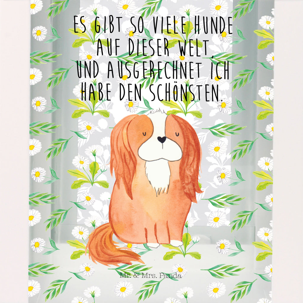 Deko Laterne Cavalier King Charles Spaniel Gartenlampe, Gartenleuchte, Gartendekoration, Gartenlicht, Laterne  kleine Laternen, XXL Laternen, Laterne groß, Hund, Hundemotiv, Haustier, Hunderasse, Tierliebhaber, Hundebesitzer, Sprüche, Cavalier King Charles Spaniel, Cockerspaniel, Spaniel, Spruch, schönster Hund