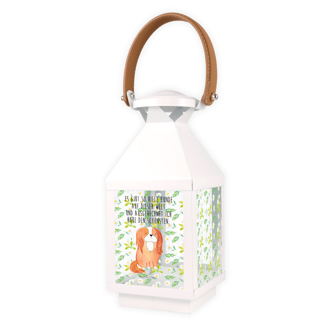 Deko Laterne Cavalier King Charles Spaniel Gartenlampe, Gartenleuchte, Gartendekoration, Gartenlicht, Laterne  kleine Laternen, XXL Laternen, Laterne groß, Hund, Hundemotiv, Haustier, Hunderasse, Tierliebhaber, Hundebesitzer, Sprüche, Cavalier King Charles Spaniel, Cockerspaniel, Spaniel, Spruch, schönster Hund