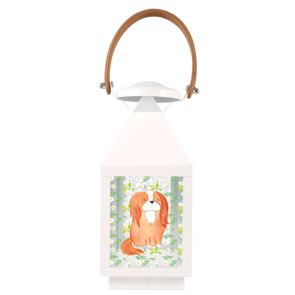 Deko Laterne Cavalier King Charles Spaniel Gartenlampe, Gartenleuchte, Gartendekoration, Gartenlicht, Laterne  kleine Laternen, XXL Laternen, Laterne groß, Hund, Hundemotiv, Haustier, Hunderasse, Tierliebhaber, Hundebesitzer, Sprüche, Cavalier King Charles Spaniel, Cockerspaniel, Spaniel, Spruch, schönster Hund