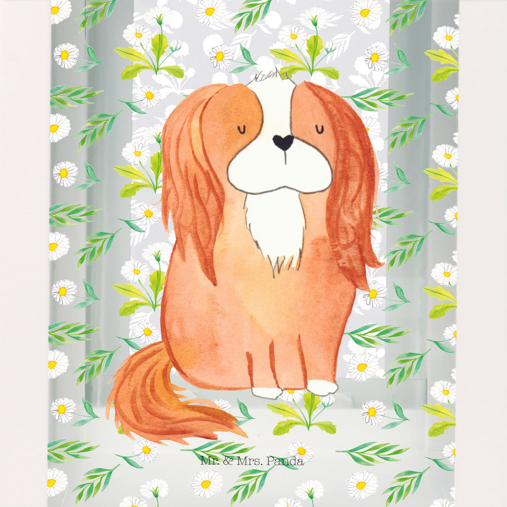 Deko Laterne Cavalier King Charles Spaniel Gartenlampe, Gartenleuchte, Gartendekoration, Gartenlicht, Laterne  kleine Laternen, XXL Laternen, Laterne groß, Hund, Hundemotiv, Haustier, Hunderasse, Tierliebhaber, Hundebesitzer, Sprüche, Cavalier King Charles Spaniel, Cockerspaniel, Spaniel, Spruch, schönster Hund