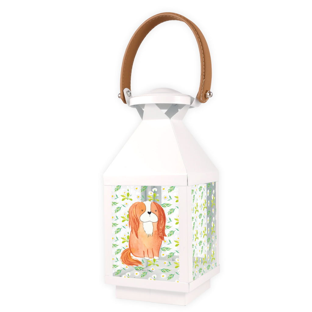 Deko Laterne Cavalier King Charles Spaniel Gartenlampe, Gartenleuchte, Gartendekoration, Gartenlicht, Laterne  kleine Laternen, XXL Laternen, Laterne groß, Hund, Hundemotiv, Haustier, Hunderasse, Tierliebhaber, Hundebesitzer, Sprüche, Cavalier King Charles Spaniel, Cockerspaniel, Spaniel, Spruch, schönster Hund