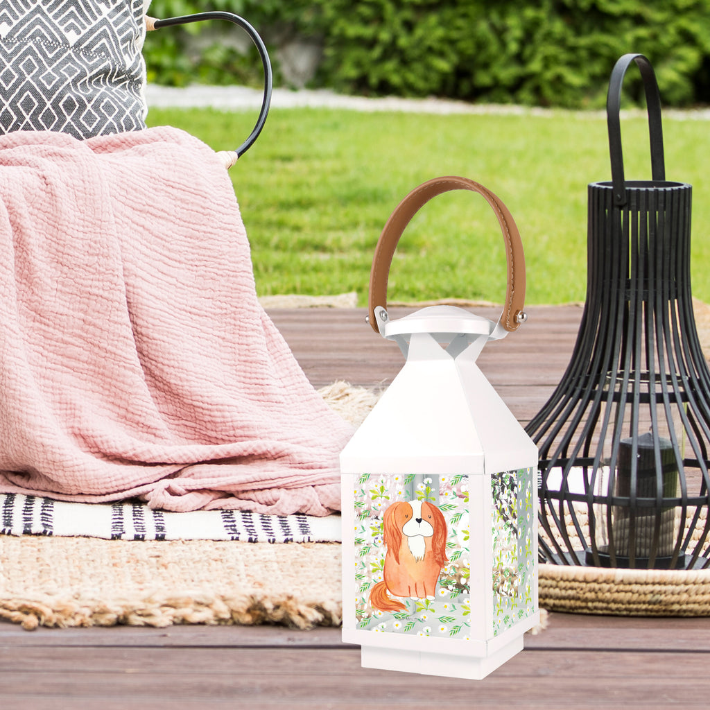 Deko Laterne Cavalier King Charles Spaniel Gartenlampe, Gartenleuchte, Gartendekoration, Gartenlicht, Laterne  kleine Laternen, XXL Laternen, Laterne groß, Hund, Hundemotiv, Haustier, Hunderasse, Tierliebhaber, Hundebesitzer, Sprüche, Cavalier King Charles Spaniel, Cockerspaniel, Spaniel, Spruch, schönster Hund