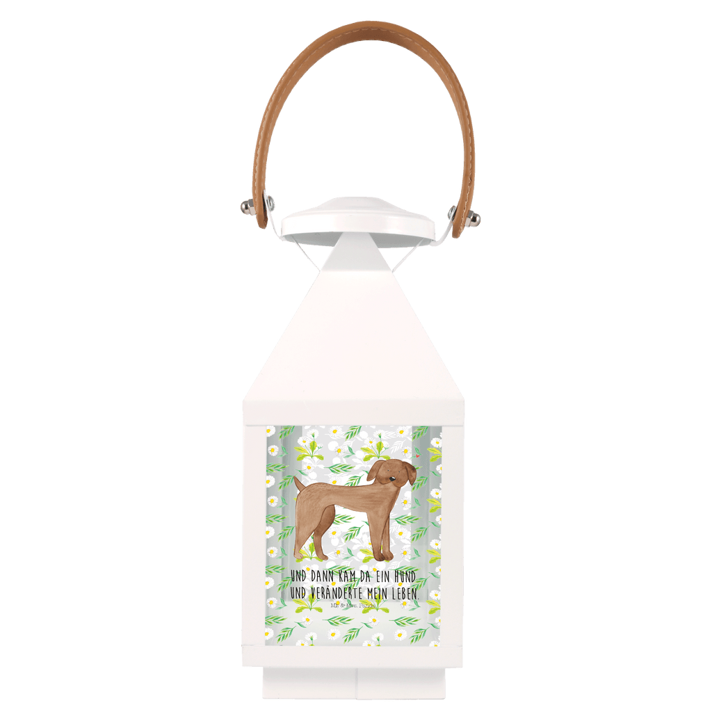 Deko Laterne Hund Dogge Gartenlampe, Gartenleuchte, Gartendekoration, Gartenlicht, Laterne  kleine Laternen, XXL Laternen, Laterne groß, Hund, Hundemotiv, Haustier, Hunderasse, Tierliebhaber, Hundebesitzer, Sprüche, Hunde, Dogge, Deutsche Dogge, Great Dane