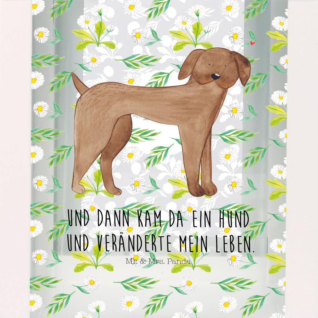 Deko Laterne Hund Dogge Gartenlampe, Gartenleuchte, Gartendekoration, Gartenlicht, Laterne  kleine Laternen, XXL Laternen, Laterne groß, Hund, Hundemotiv, Haustier, Hunderasse, Tierliebhaber, Hundebesitzer, Sprüche, Hunde, Dogge, Deutsche Dogge, Great Dane