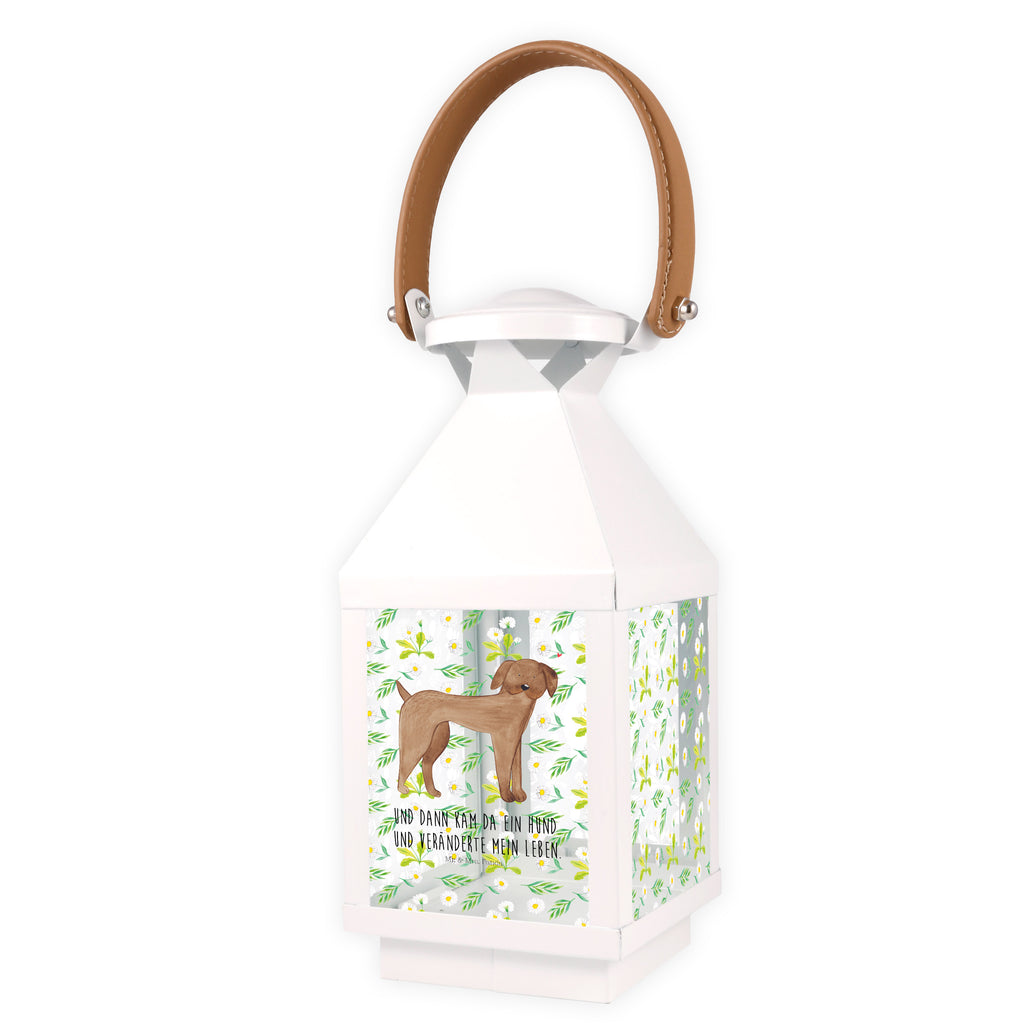 Deko Laterne Hund Dogge Gartenlampe, Gartenleuchte, Gartendekoration, Gartenlicht, Laterne  kleine Laternen, XXL Laternen, Laterne groß, Hund, Hundemotiv, Haustier, Hunderasse, Tierliebhaber, Hundebesitzer, Sprüche, Hunde, Dogge, Deutsche Dogge, Great Dane