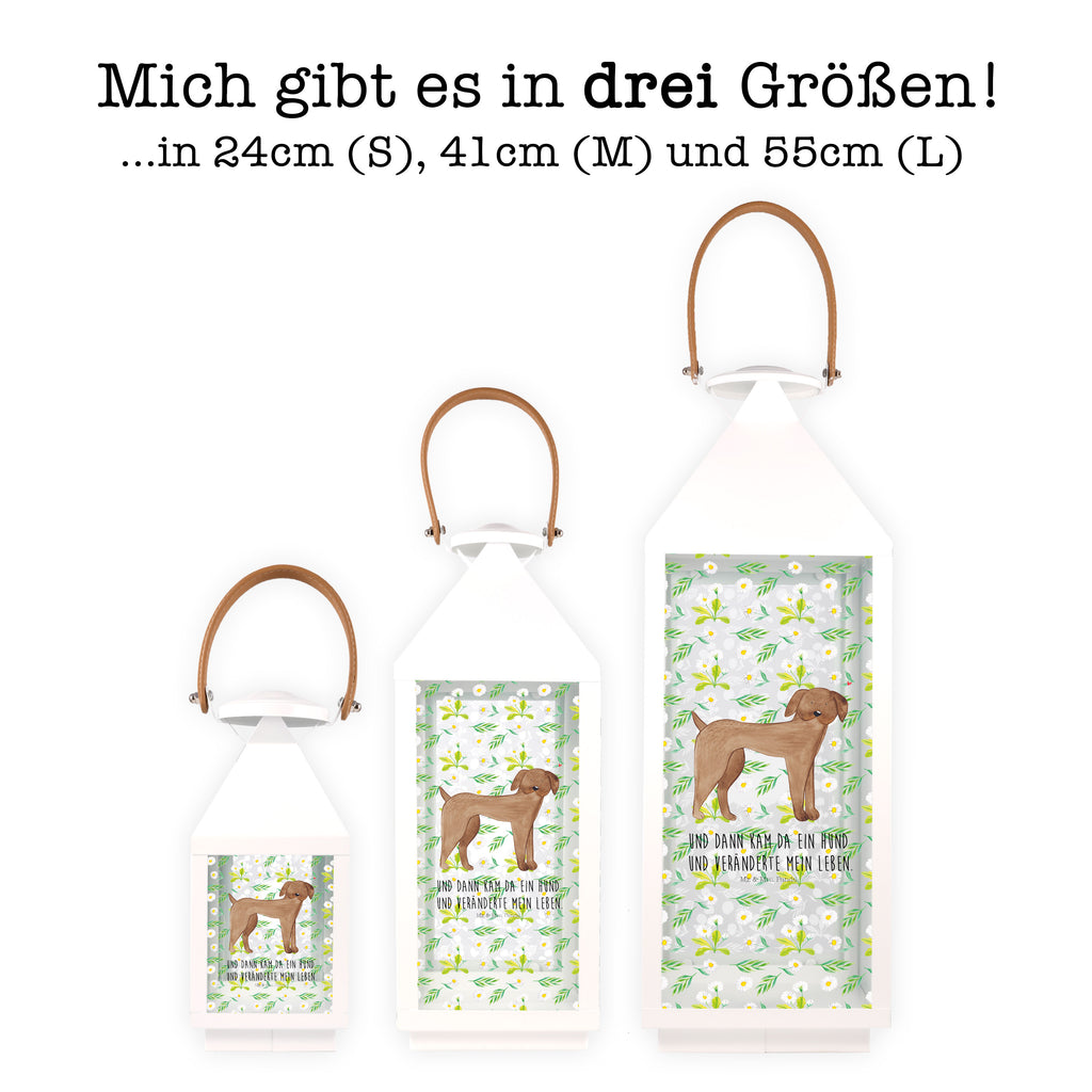 Deko Laterne Hund Dogge Gartenlampe, Gartenleuchte, Gartendekoration, Gartenlicht, Laterne  kleine Laternen, XXL Laternen, Laterne groß, Hund, Hundemotiv, Haustier, Hunderasse, Tierliebhaber, Hundebesitzer, Sprüche, Hunde, Dogge, Deutsche Dogge, Great Dane