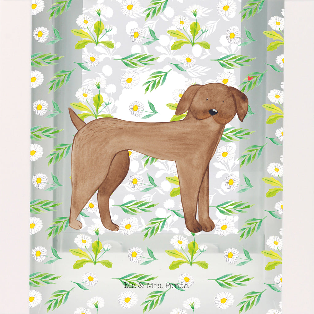 Deko Laterne Hund Dogge Gartenlampe, Gartenleuchte, Gartendekoration, Gartenlicht, Laterne  kleine Laternen, XXL Laternen, Laterne groß, Hund, Hundemotiv, Haustier, Hunderasse, Tierliebhaber, Hundebesitzer, Sprüche, Hunde, Dogge, Deutsche Dogge, Great Dane