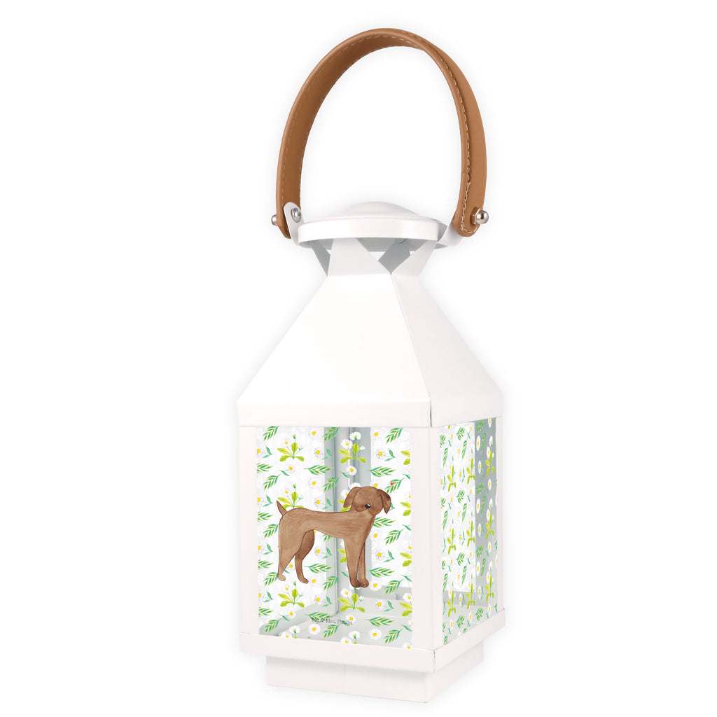 Deko Laterne Hund Dogge Gartenlampe, Gartenleuchte, Gartendekoration, Gartenlicht, Laterne  kleine Laternen, XXL Laternen, Laterne groß, Hund, Hundemotiv, Haustier, Hunderasse, Tierliebhaber, Hundebesitzer, Sprüche, Hunde, Dogge, Deutsche Dogge, Great Dane