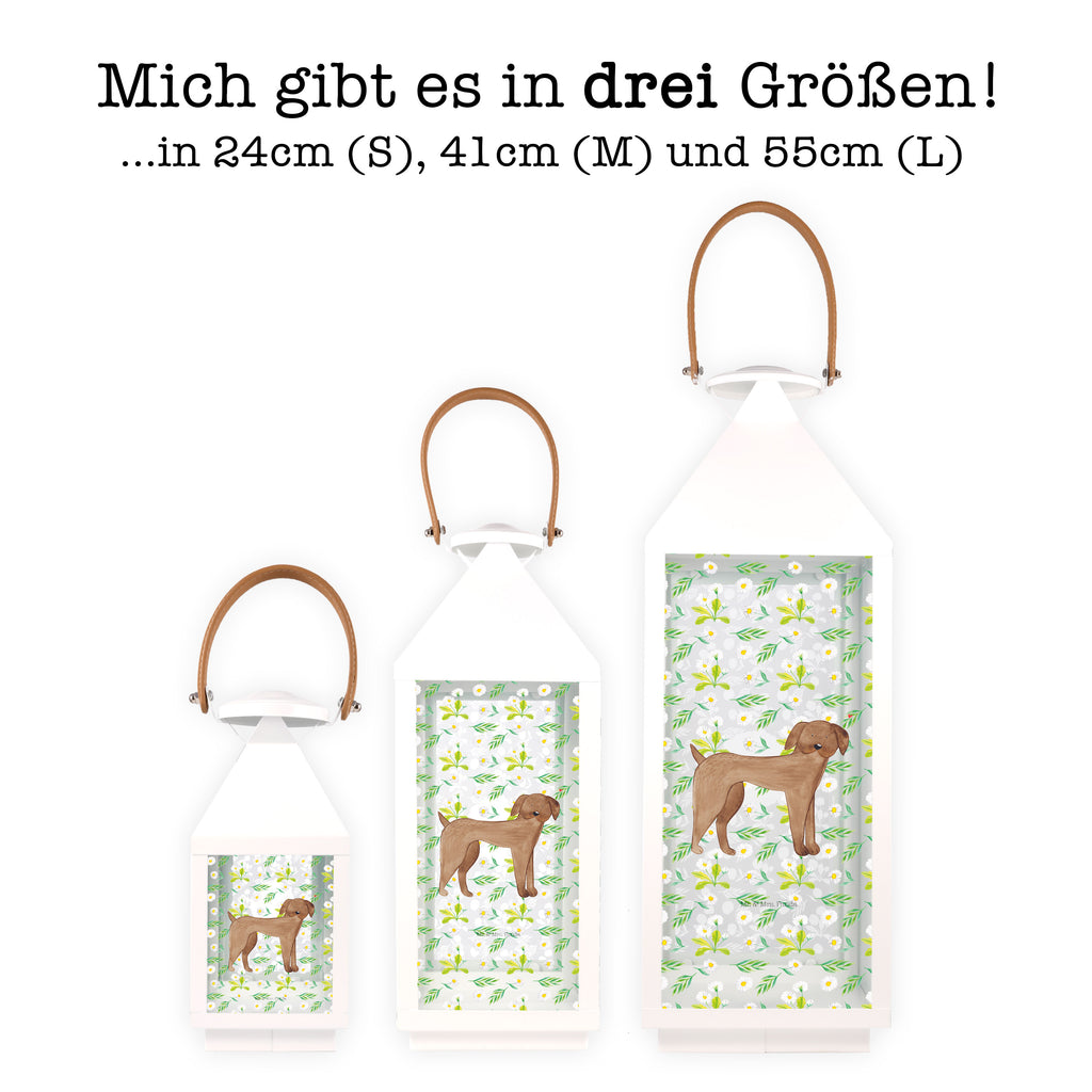 Deko Laterne Hund Dogge Gartenlampe, Gartenleuchte, Gartendekoration, Gartenlicht, Laterne  kleine Laternen, XXL Laternen, Laterne groß, Hund, Hundemotiv, Haustier, Hunderasse, Tierliebhaber, Hundebesitzer, Sprüche, Hunde, Dogge, Deutsche Dogge, Great Dane
