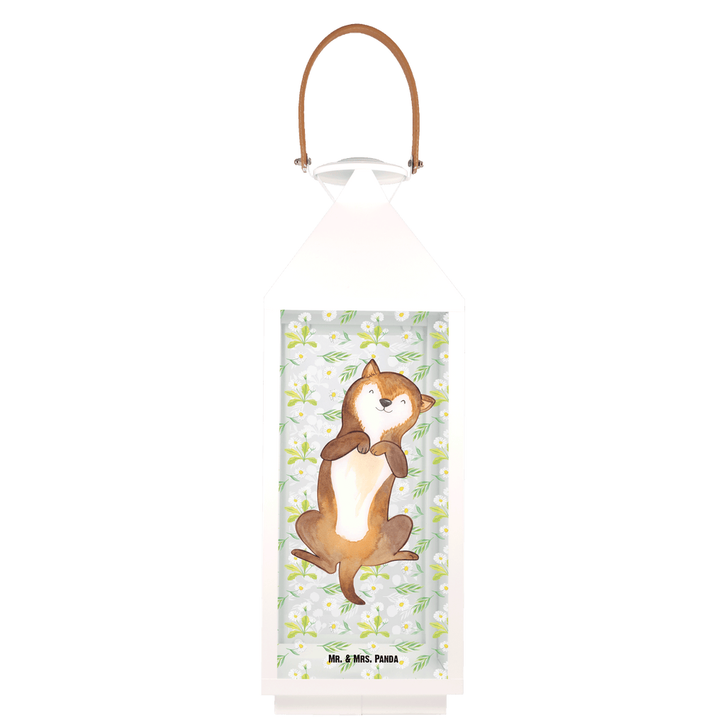Deko Laterne Hund Bauchkraulen Gartenlampe, Gartenleuchte, Gartendekoration, Gartenlicht, Laterne  kleine Laternen, XXL Laternen, Laterne groß, Hund, Hundemotiv, Haustier, Hunderasse, Tierliebhaber, Hundebesitzer, Sprüche, Hunde, Hundeliebe, Hundewelpe, Bauchkraulen