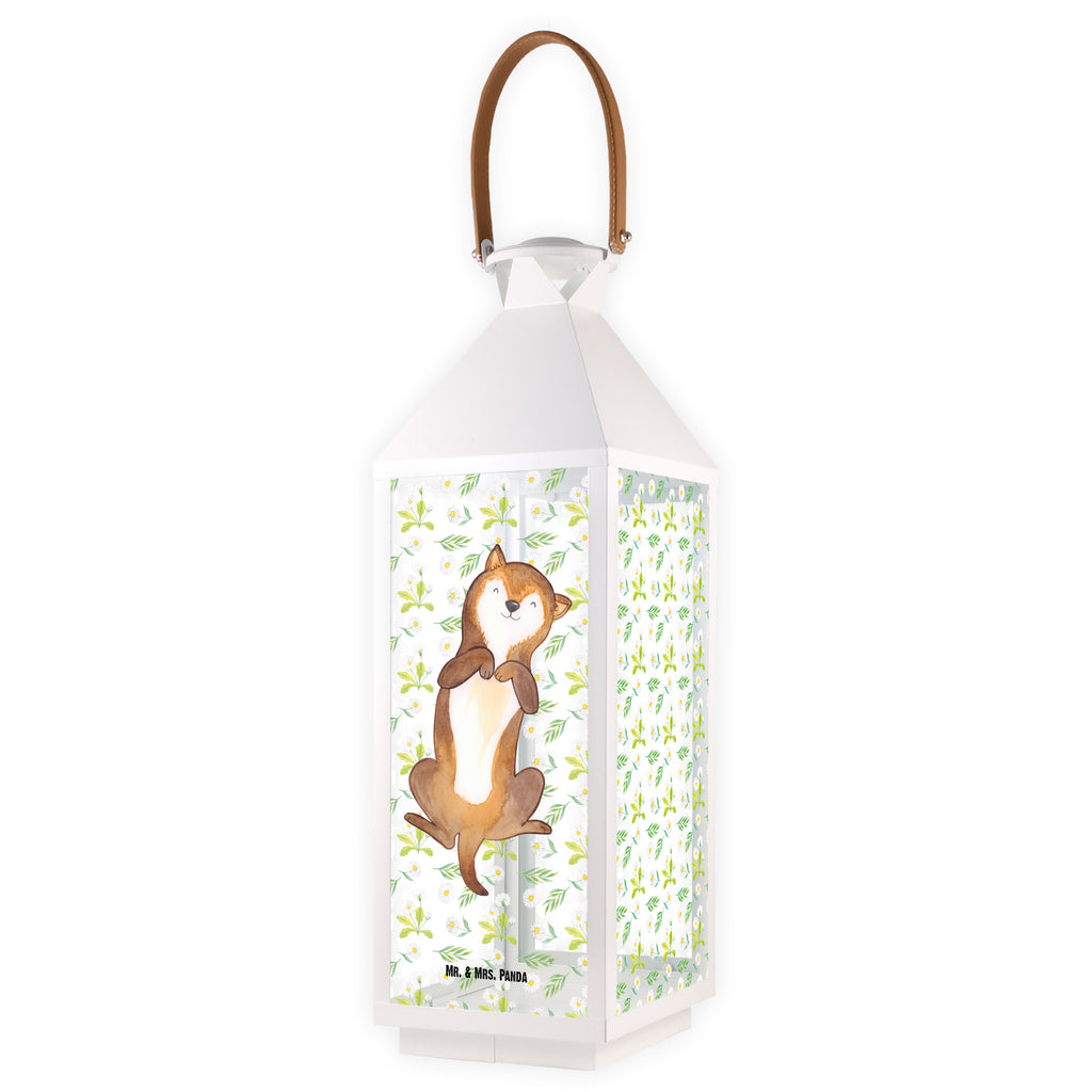 Deko Laterne Hund Bauchkraulen Gartenlampe, Gartenleuchte, Gartendekoration, Gartenlicht, Laterne  kleine Laternen, XXL Laternen, Laterne groß, Hund, Hundemotiv, Haustier, Hunderasse, Tierliebhaber, Hundebesitzer, Sprüche, Hunde, Hundeliebe, Hundewelpe, Bauchkraulen