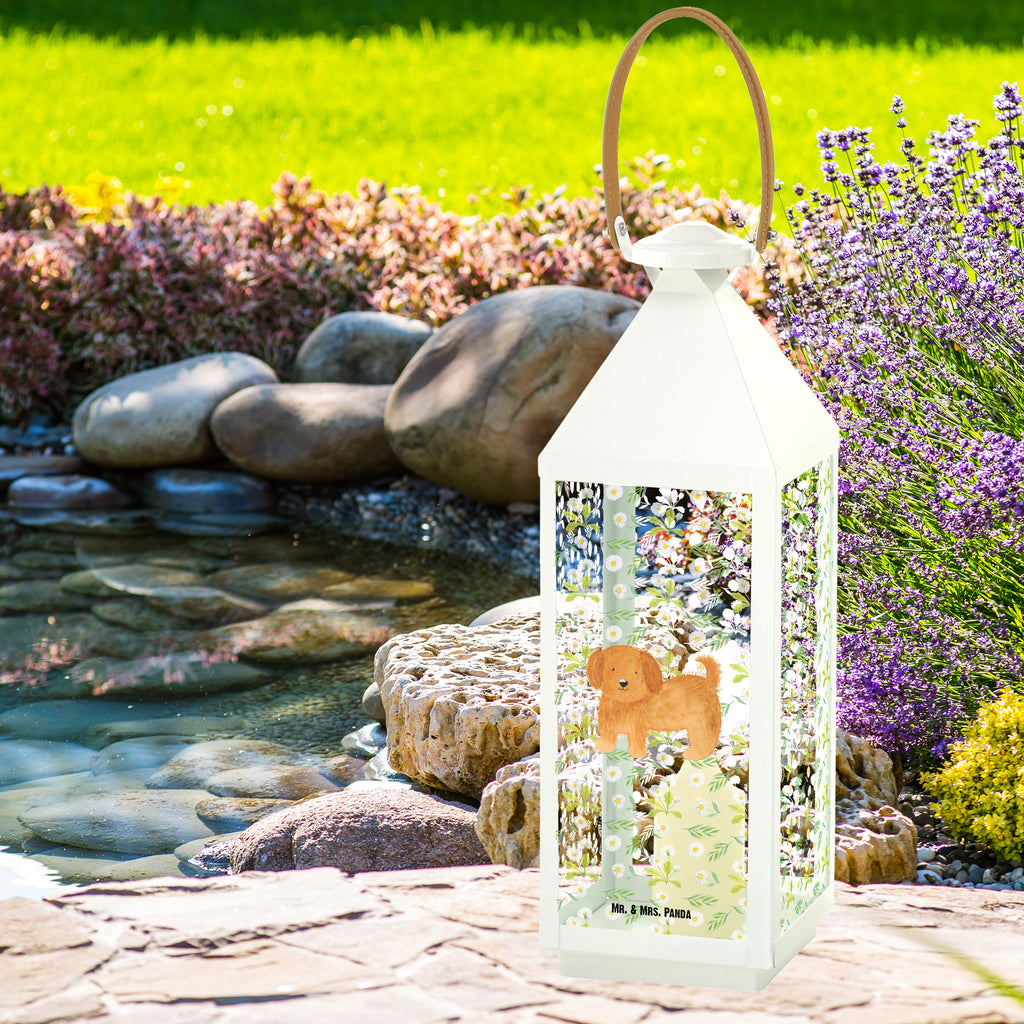 Deko Laterne Hund flauschig Hund, Hunde, Frauchen, Hundemama, Hundebesitzer, Hundeliebe Gartenlampe, Gartenleuchte, Gartendekoration, Gartenlicht, Laterne  kleine Laternen, XXL Laternen, Laterne groß,   Hund, Hundemotiv, Haustier, Hunderasse, Tierliebhaber, Hundebesitzer, Sprüche