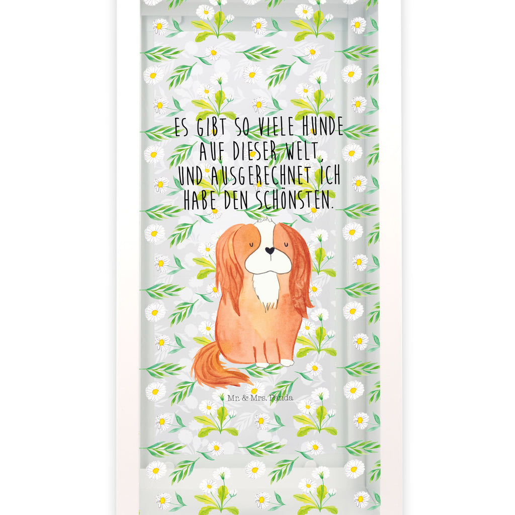 Deko Laterne Cavalier King Charles Spaniel Gartenlampe, Gartenleuchte, Gartendekoration, Gartenlicht, Laterne  kleine Laternen, XXL Laternen, Laterne groß, Hund, Hundemotiv, Haustier, Hunderasse, Tierliebhaber, Hundebesitzer, Sprüche, Cavalier King Charles Spaniel, Cockerspaniel, Spaniel, Spruch, schönster Hund