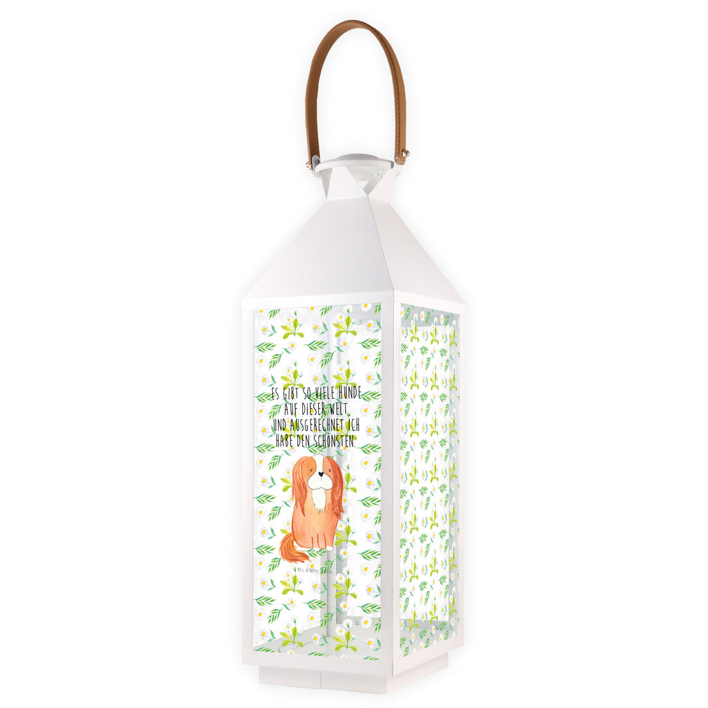 Deko Laterne Cavalier King Charles Spaniel Gartenlampe, Gartenleuchte, Gartendekoration, Gartenlicht, Laterne  kleine Laternen, XXL Laternen, Laterne groß, Hund, Hundemotiv, Haustier, Hunderasse, Tierliebhaber, Hundebesitzer, Sprüche, Cavalier King Charles Spaniel, Cockerspaniel, Spaniel, Spruch, schönster Hund