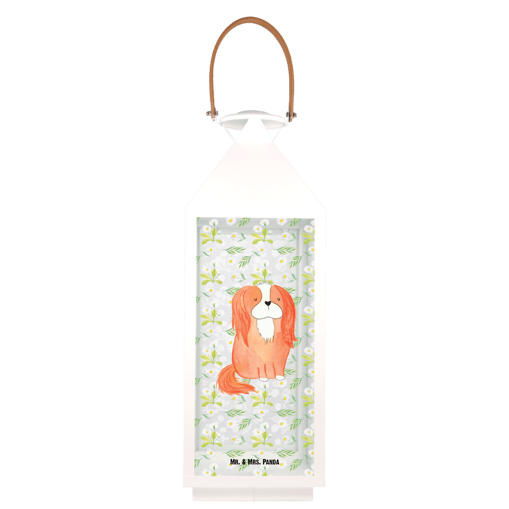 Deko Laterne Cavalier King Charles Spaniel Gartenlampe, Gartenleuchte, Gartendekoration, Gartenlicht, Laterne  kleine Laternen, XXL Laternen, Laterne groß, Hund, Hundemotiv, Haustier, Hunderasse, Tierliebhaber, Hundebesitzer, Sprüche, Cavalier King Charles Spaniel, Cockerspaniel, Spaniel, Spruch, schönster Hund