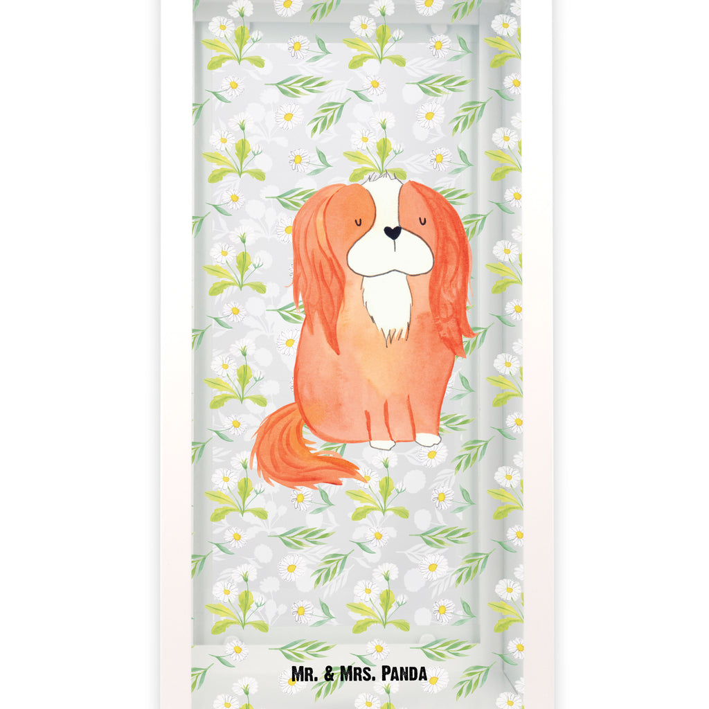 Deko Laterne Cavalier King Charles Spaniel Gartenlampe, Gartenleuchte, Gartendekoration, Gartenlicht, Laterne  kleine Laternen, XXL Laternen, Laterne groß, Hund, Hundemotiv, Haustier, Hunderasse, Tierliebhaber, Hundebesitzer, Sprüche, Cavalier King Charles Spaniel, Cockerspaniel, Spaniel, Spruch, schönster Hund