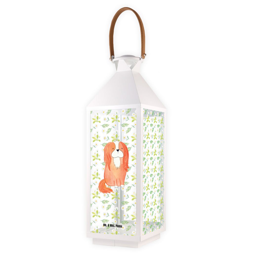 Deko Laterne Cavalier King Charles Spaniel Gartenlampe, Gartenleuchte, Gartendekoration, Gartenlicht, Laterne  kleine Laternen, XXL Laternen, Laterne groß, Hund, Hundemotiv, Haustier, Hunderasse, Tierliebhaber, Hundebesitzer, Sprüche, Cavalier King Charles Spaniel, Cockerspaniel, Spaniel, Spruch, schönster Hund