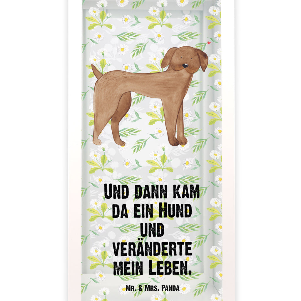 Deko Laterne Hund Dogge Gartenlampe, Gartenleuchte, Gartendekoration, Gartenlicht, Laterne  kleine Laternen, XXL Laternen, Laterne groß, Hund, Hundemotiv, Haustier, Hunderasse, Tierliebhaber, Hundebesitzer, Sprüche, Hunde, Dogge, Deutsche Dogge, Great Dane