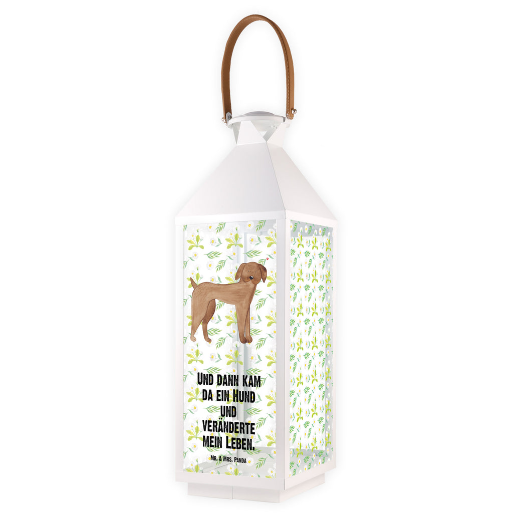 Deko Laterne Hund Dogge Gartenlampe, Gartenleuchte, Gartendekoration, Gartenlicht, Laterne  kleine Laternen, XXL Laternen, Laterne groß, Hund, Hundemotiv, Haustier, Hunderasse, Tierliebhaber, Hundebesitzer, Sprüche, Hunde, Dogge, Deutsche Dogge, Great Dane
