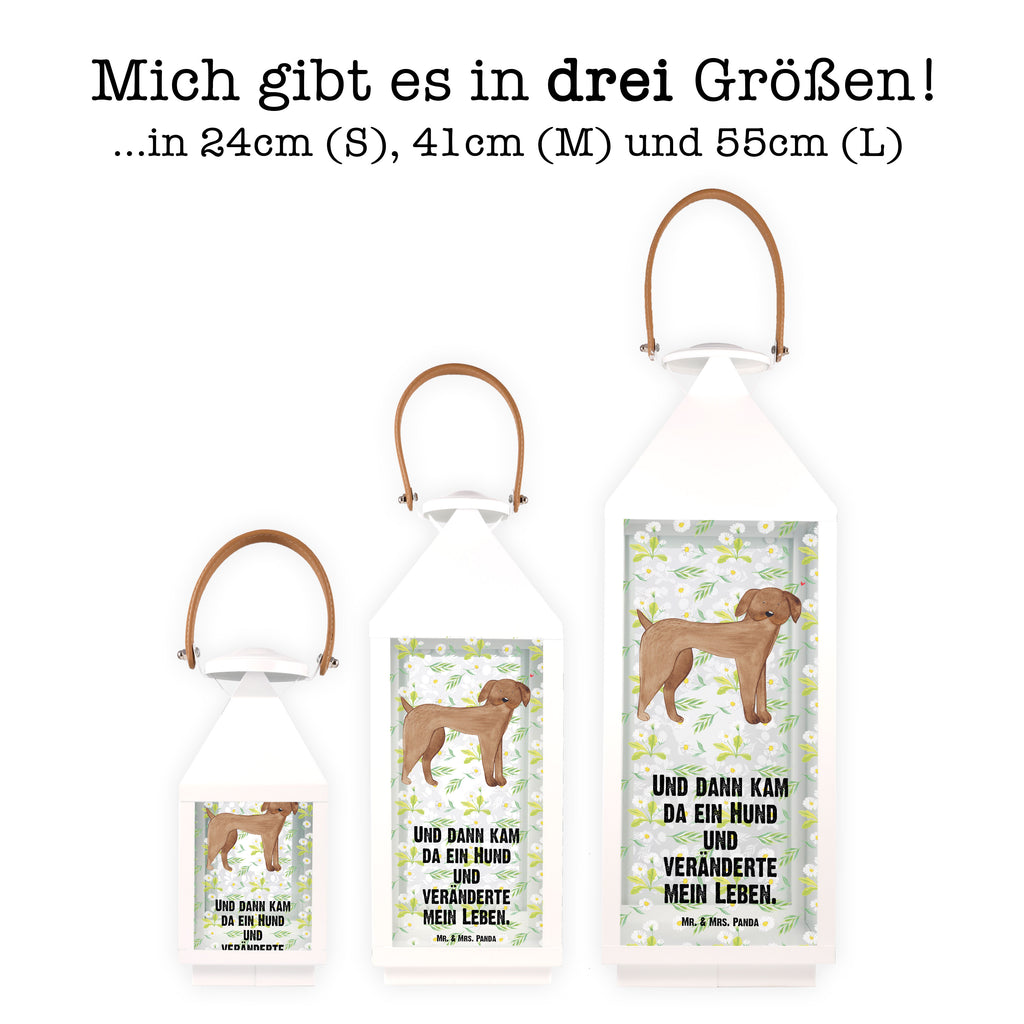 Deko Laterne Hund Dogge Gartenlampe, Gartenleuchte, Gartendekoration, Gartenlicht, Laterne  kleine Laternen, XXL Laternen, Laterne groß, Hund, Hundemotiv, Haustier, Hunderasse, Tierliebhaber, Hundebesitzer, Sprüche, Hunde, Dogge, Deutsche Dogge, Great Dane