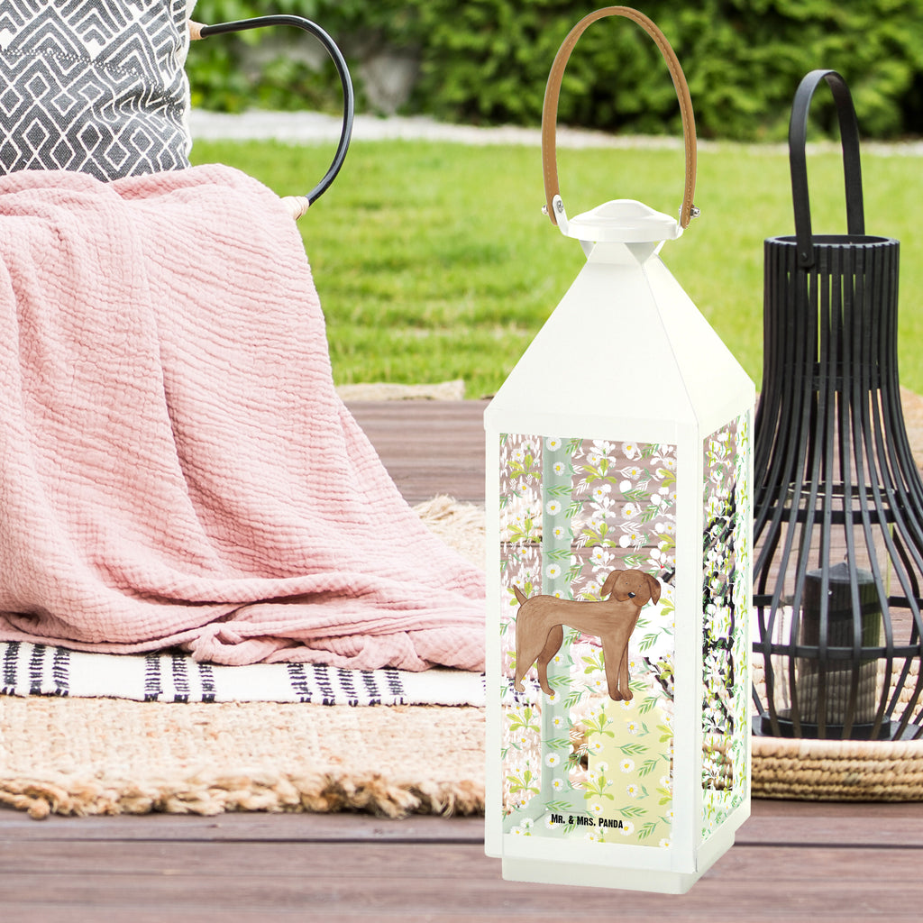 Deko Laterne Hund Dogge Gartenlampe, Gartenleuchte, Gartendekoration, Gartenlicht, Laterne  kleine Laternen, XXL Laternen, Laterne groß, Hund, Hundemotiv, Haustier, Hunderasse, Tierliebhaber, Hundebesitzer, Sprüche, Hunde, Dogge, Deutsche Dogge, Great Dane