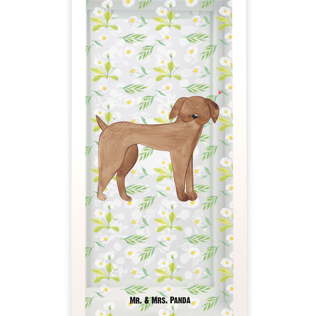 Deko Laterne Hund Dogge Gartenlampe, Gartenleuchte, Gartendekoration, Gartenlicht, Laterne  kleine Laternen, XXL Laternen, Laterne groß, Hund, Hundemotiv, Haustier, Hunderasse, Tierliebhaber, Hundebesitzer, Sprüche, Hunde, Dogge, Deutsche Dogge, Great Dane