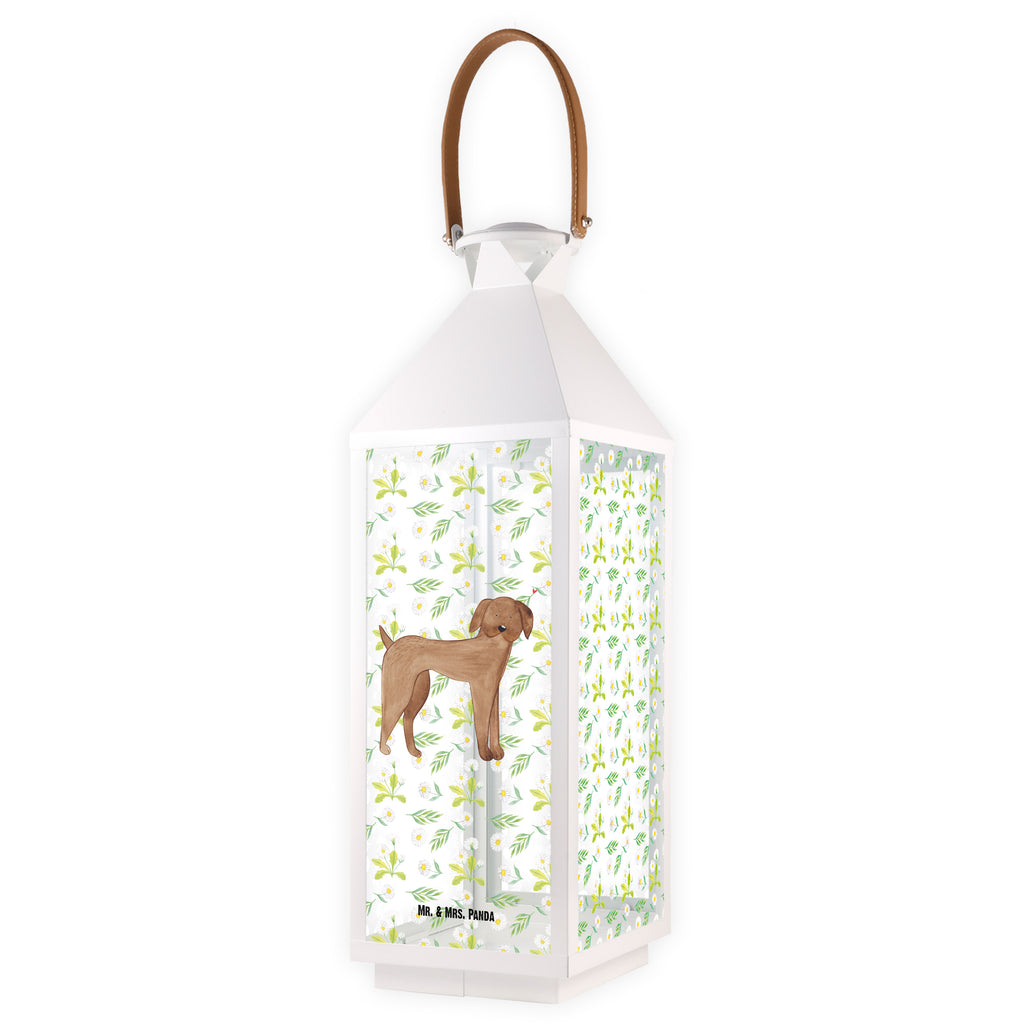 Deko Laterne Hund Dogge Gartenlampe, Gartenleuchte, Gartendekoration, Gartenlicht, Laterne  kleine Laternen, XXL Laternen, Laterne groß, Hund, Hundemotiv, Haustier, Hunderasse, Tierliebhaber, Hundebesitzer, Sprüche, Hunde, Dogge, Deutsche Dogge, Great Dane