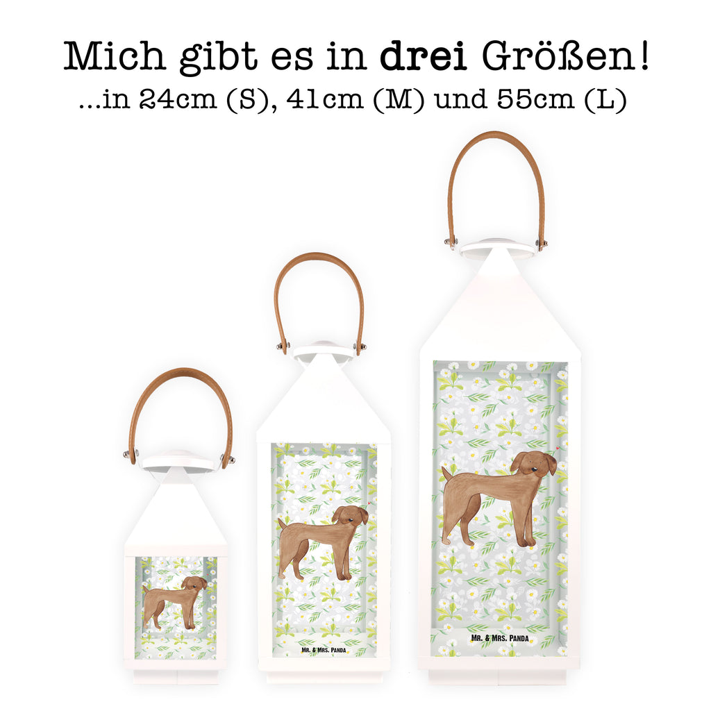 Deko Laterne Hund Dogge Gartenlampe, Gartenleuchte, Gartendekoration, Gartenlicht, Laterne  kleine Laternen, XXL Laternen, Laterne groß, Hund, Hundemotiv, Haustier, Hunderasse, Tierliebhaber, Hundebesitzer, Sprüche, Hunde, Dogge, Deutsche Dogge, Great Dane